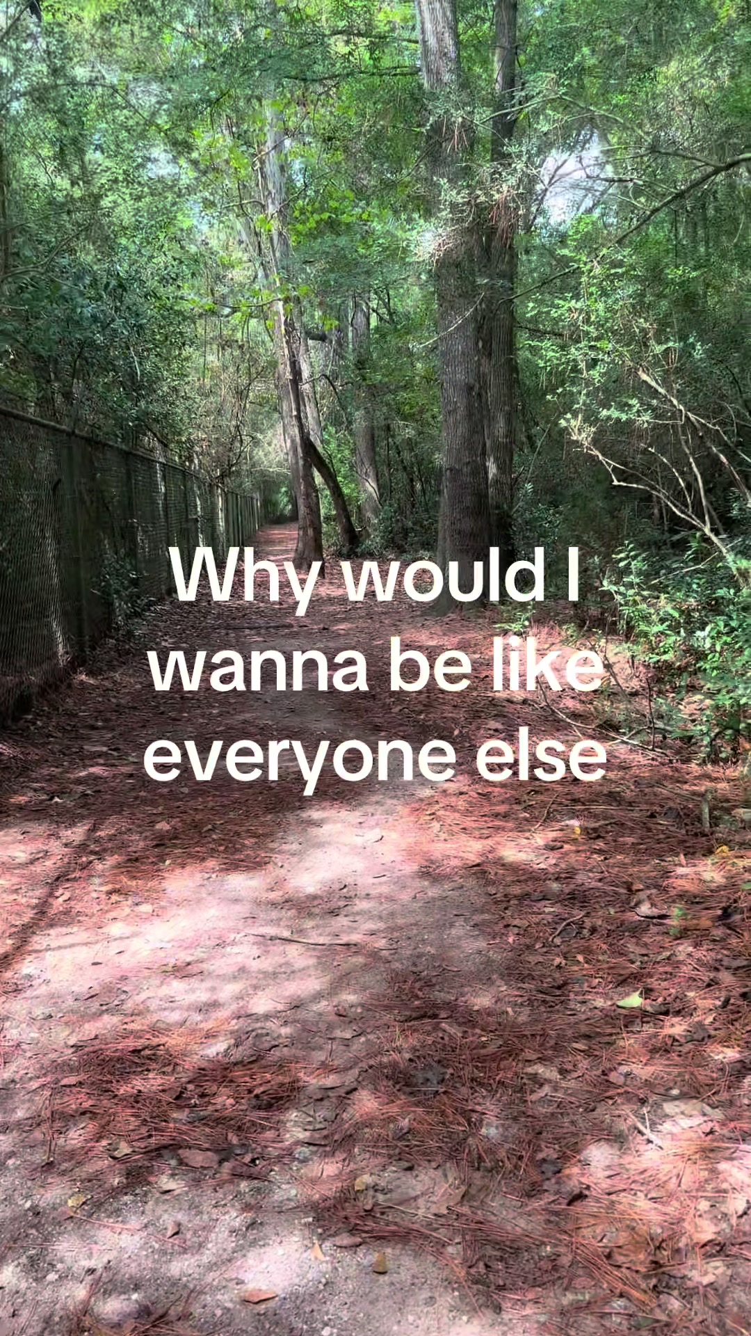 @bay