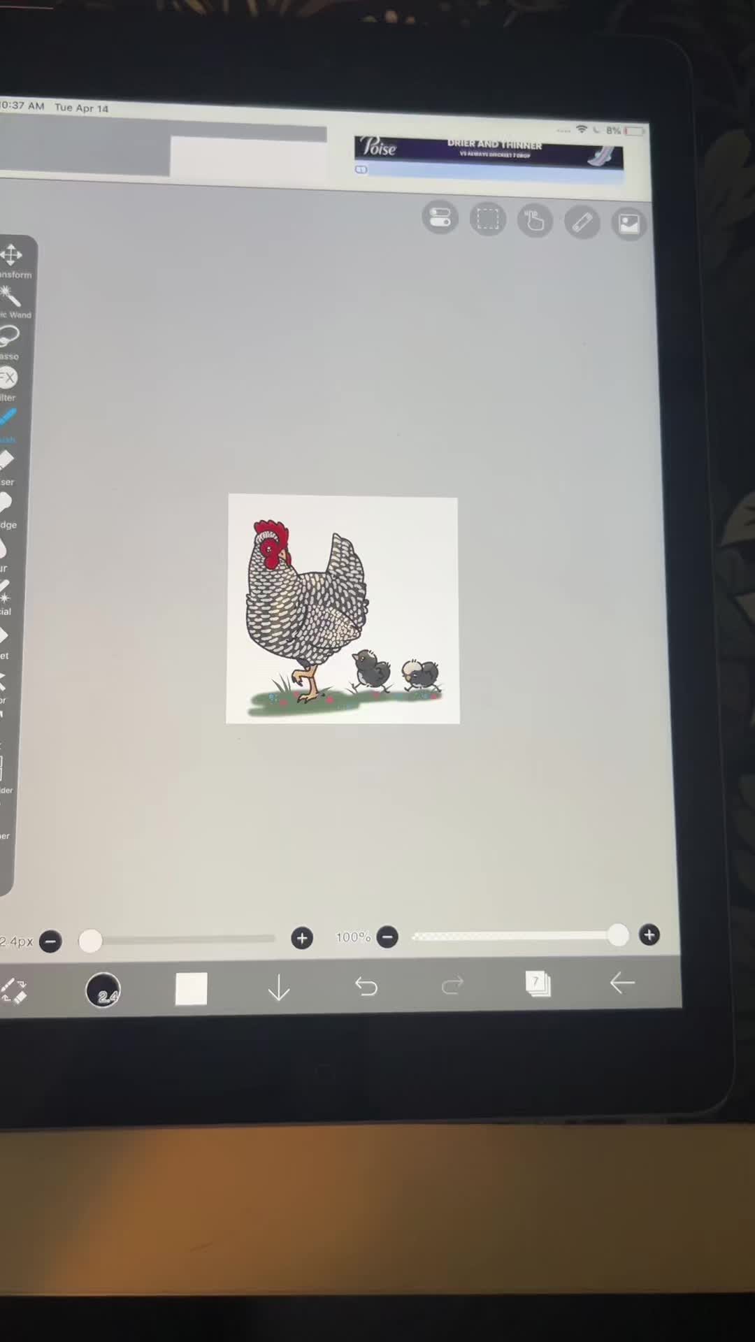 @Timberline Chickens