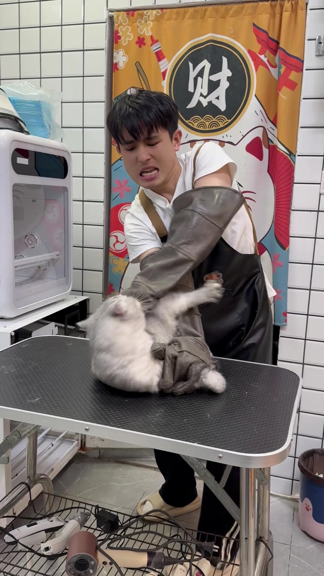 @washing.cats