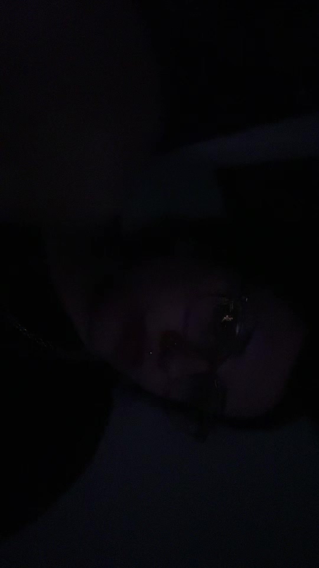 @_.gvtter_slvt._