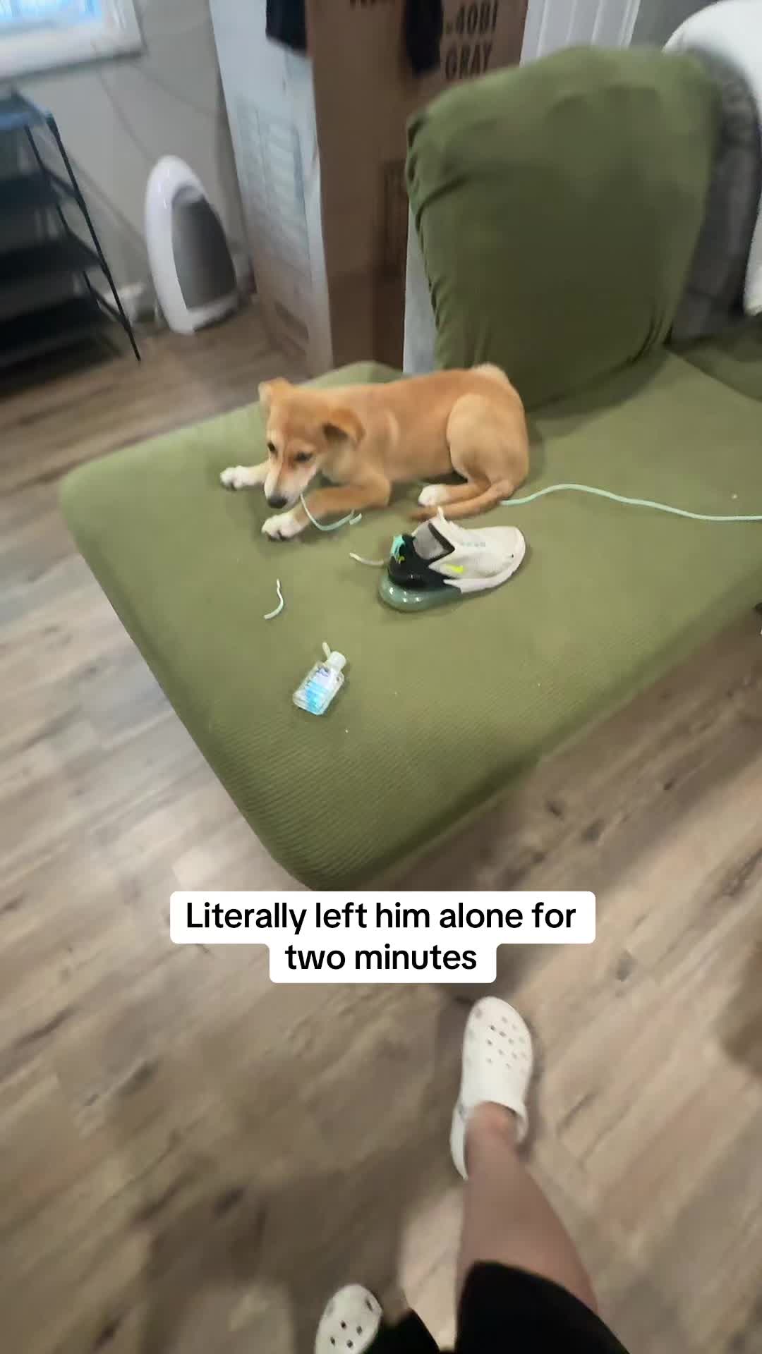 @Cari