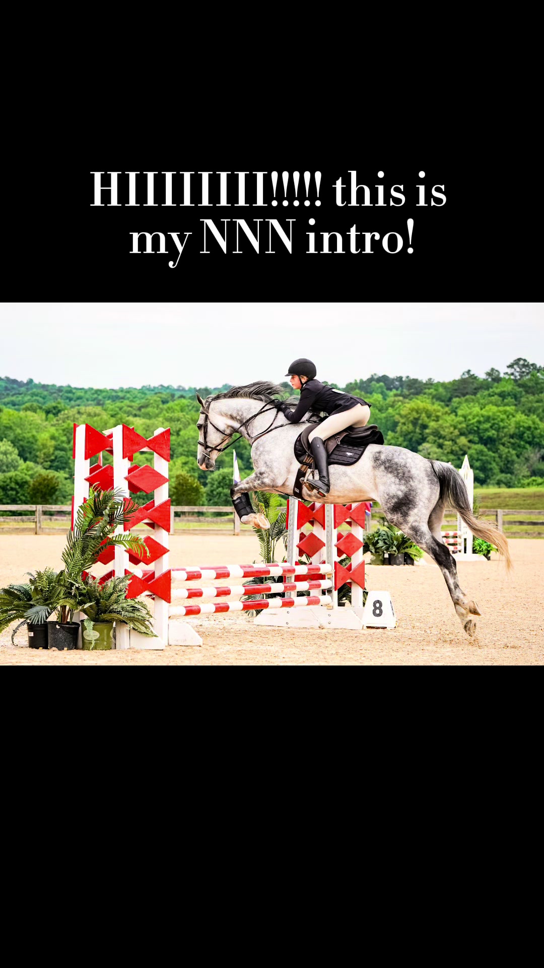 @🔥Neigh Neigh Nation🔥