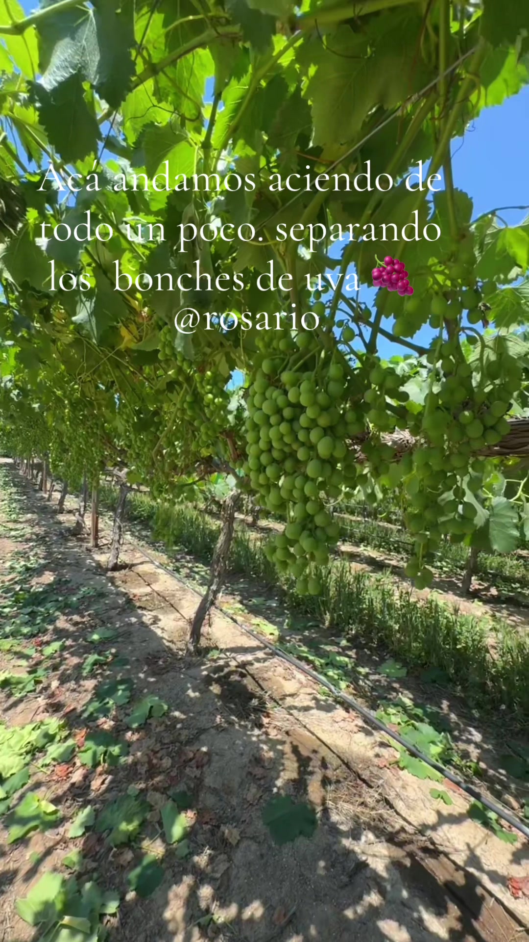 @Chaparritalaoaxaqueña💕🫶