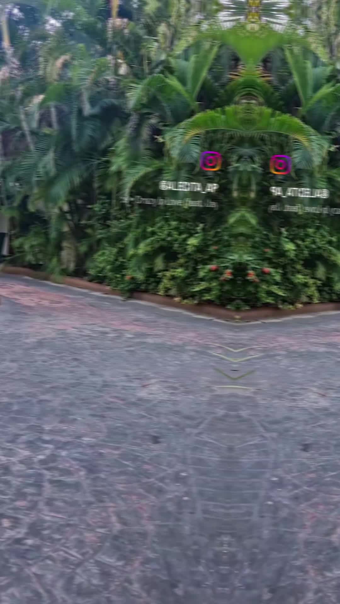 @Alecita_apa