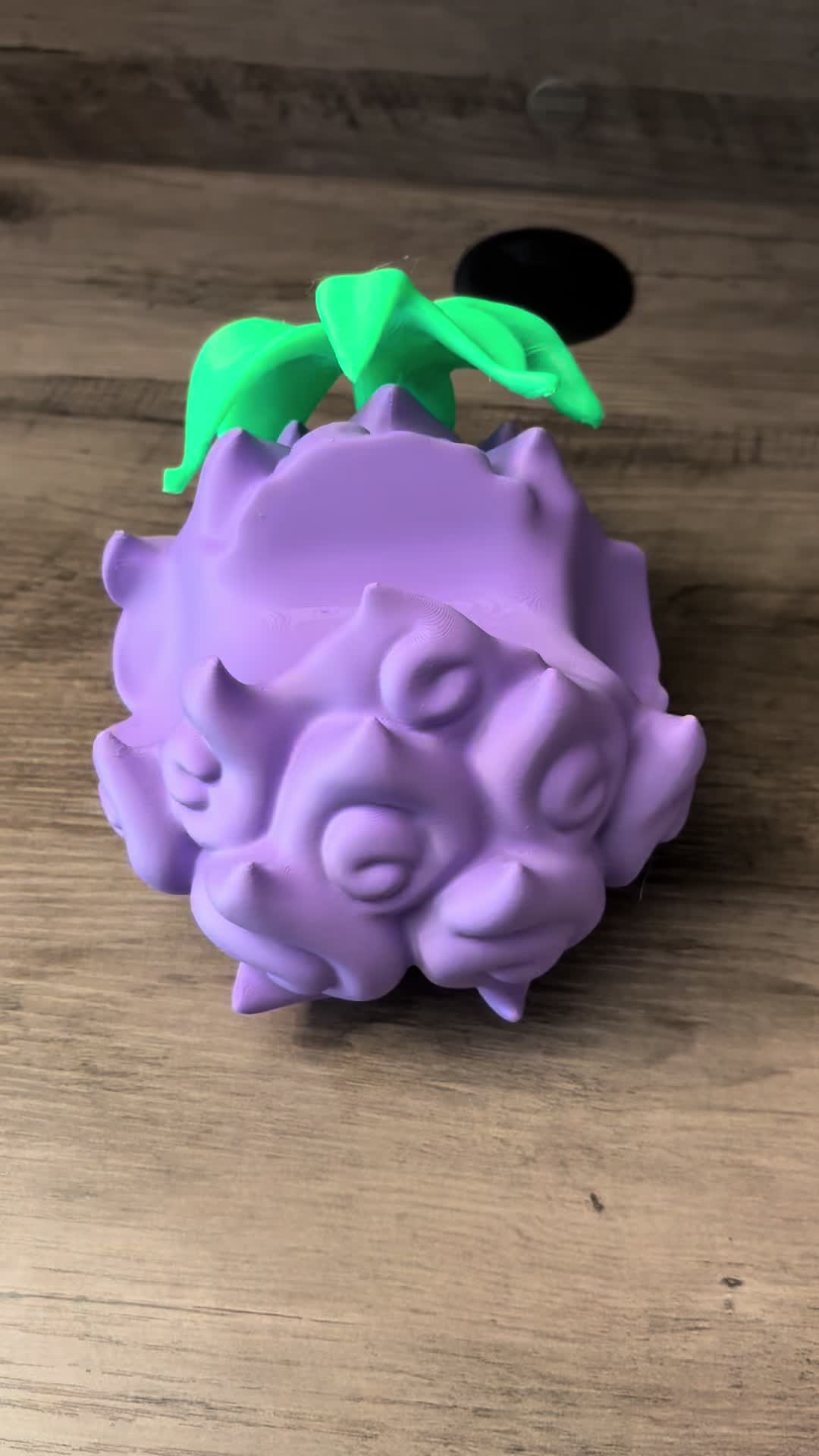 @_kings_shop_25