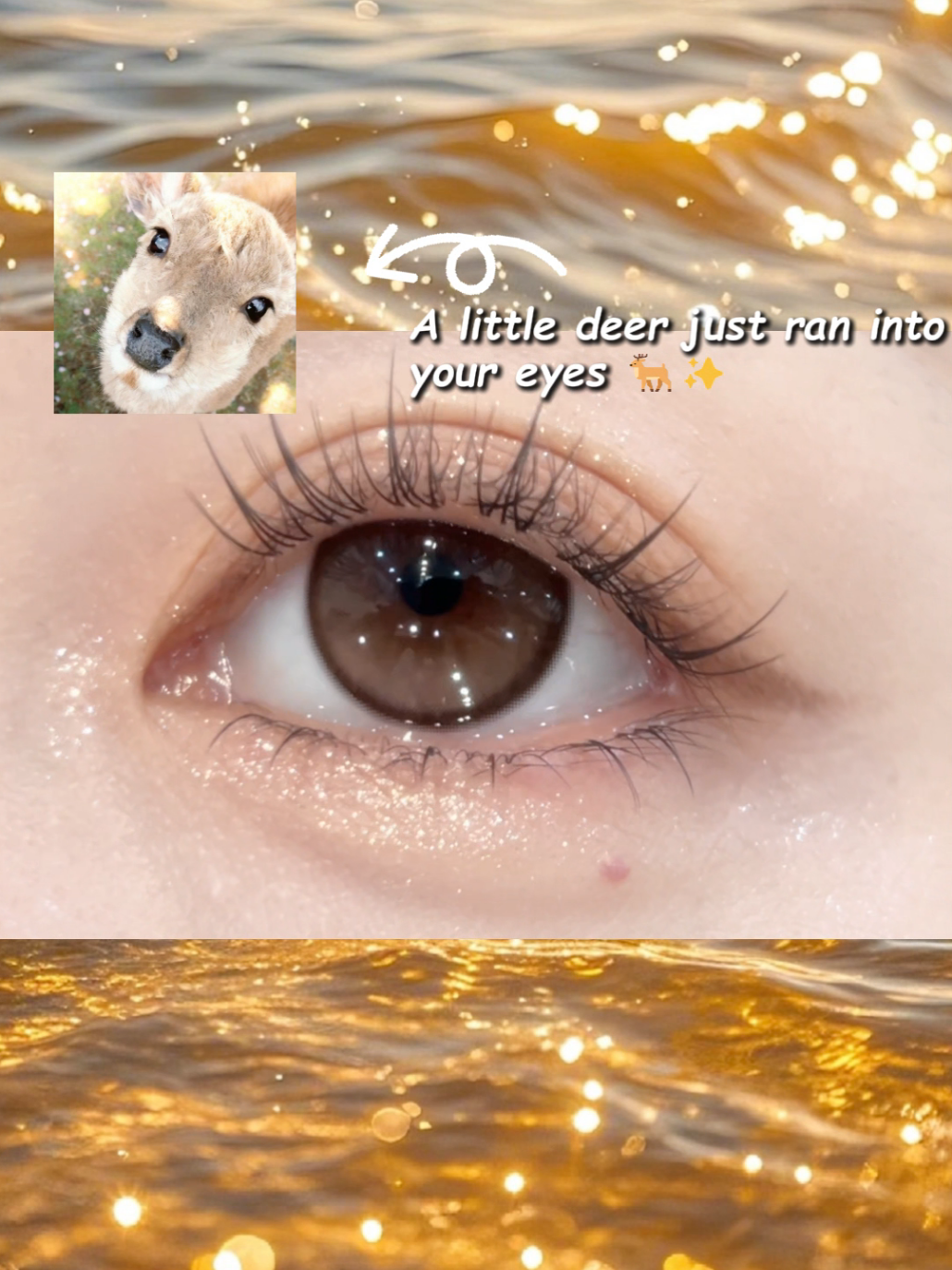 @sigocontacts_official
