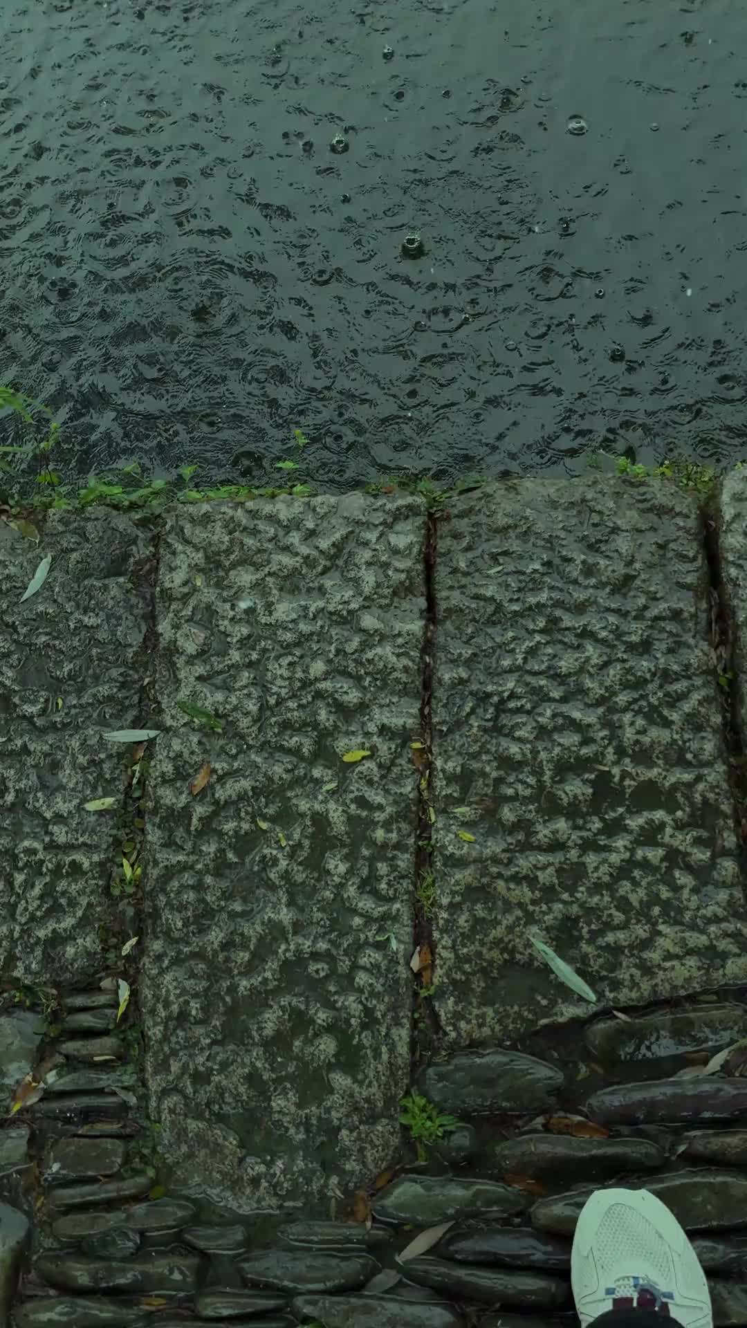 @北江魚