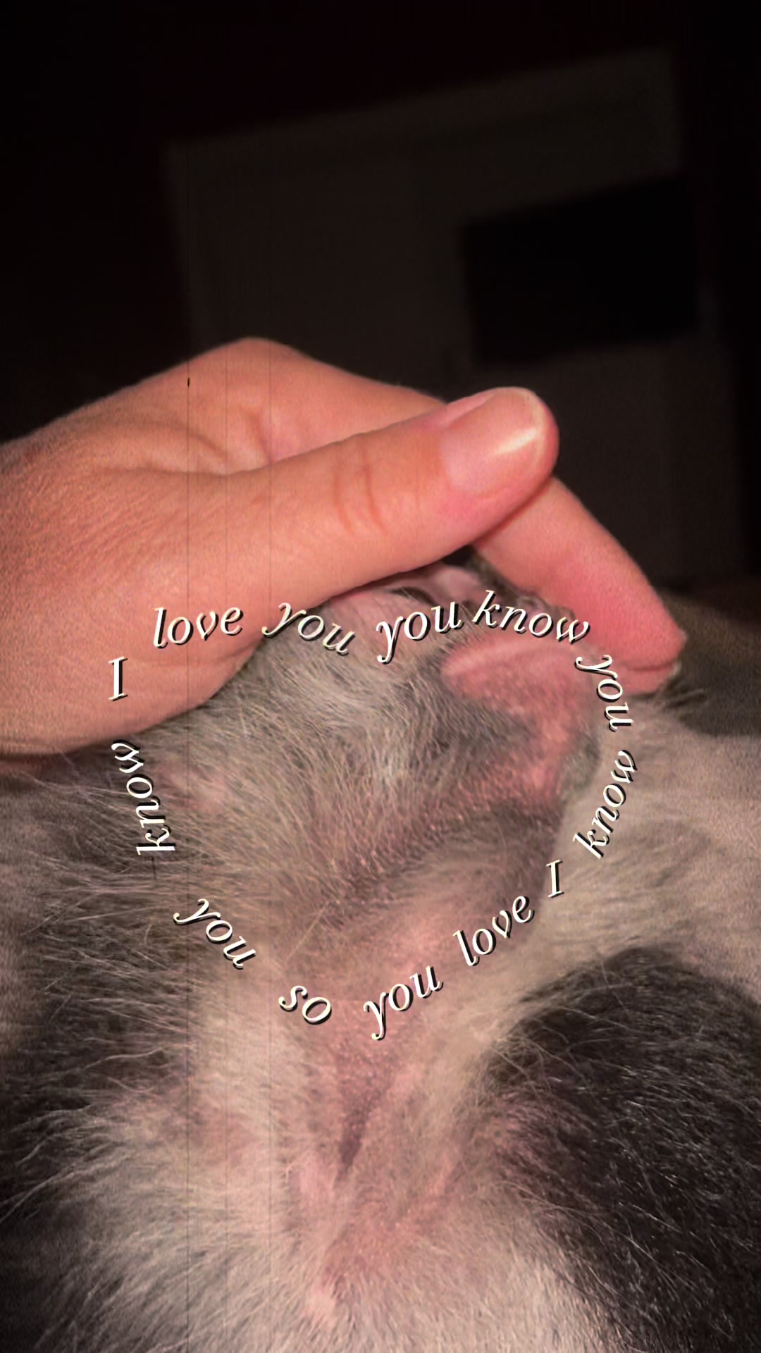 @Michelle_garrison