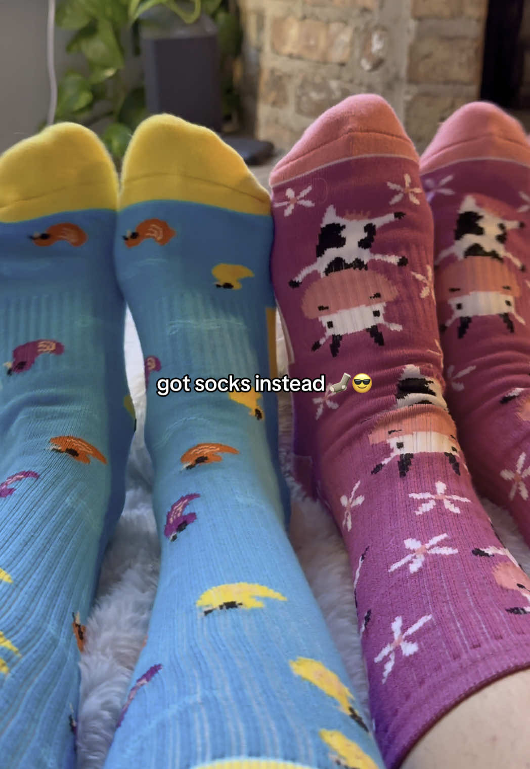 @Spirit Sox USA