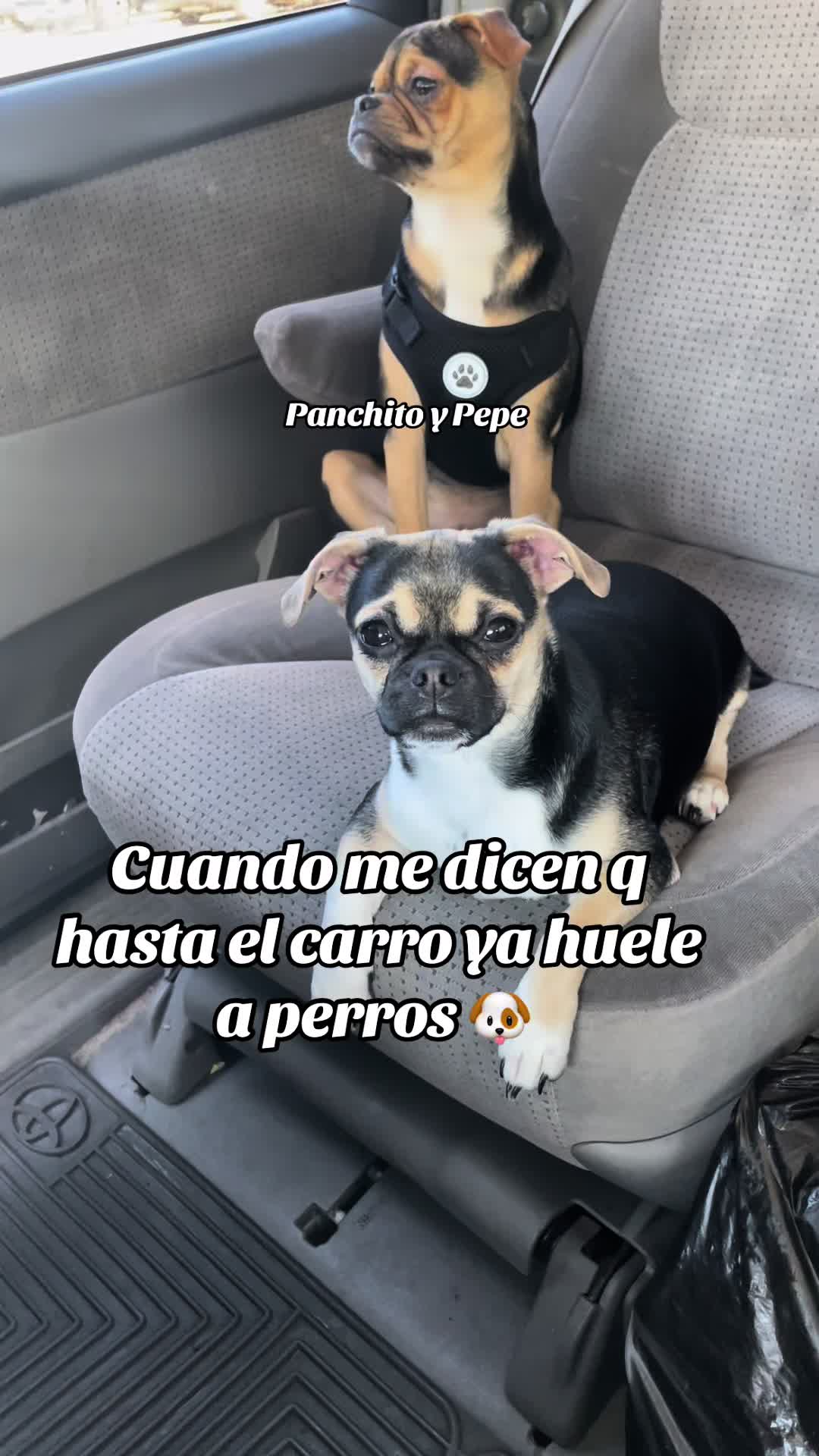 @Norberto Ortiz