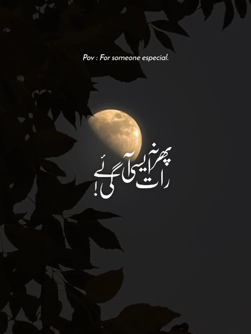 @𝙉𝘼𝘿𝙀𝙀𝙈 ❤️🌙