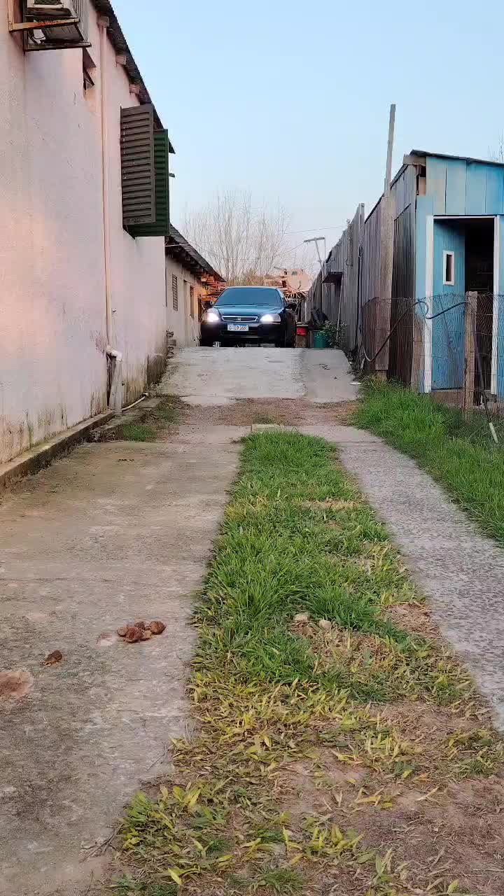 @Maicol_Agustin