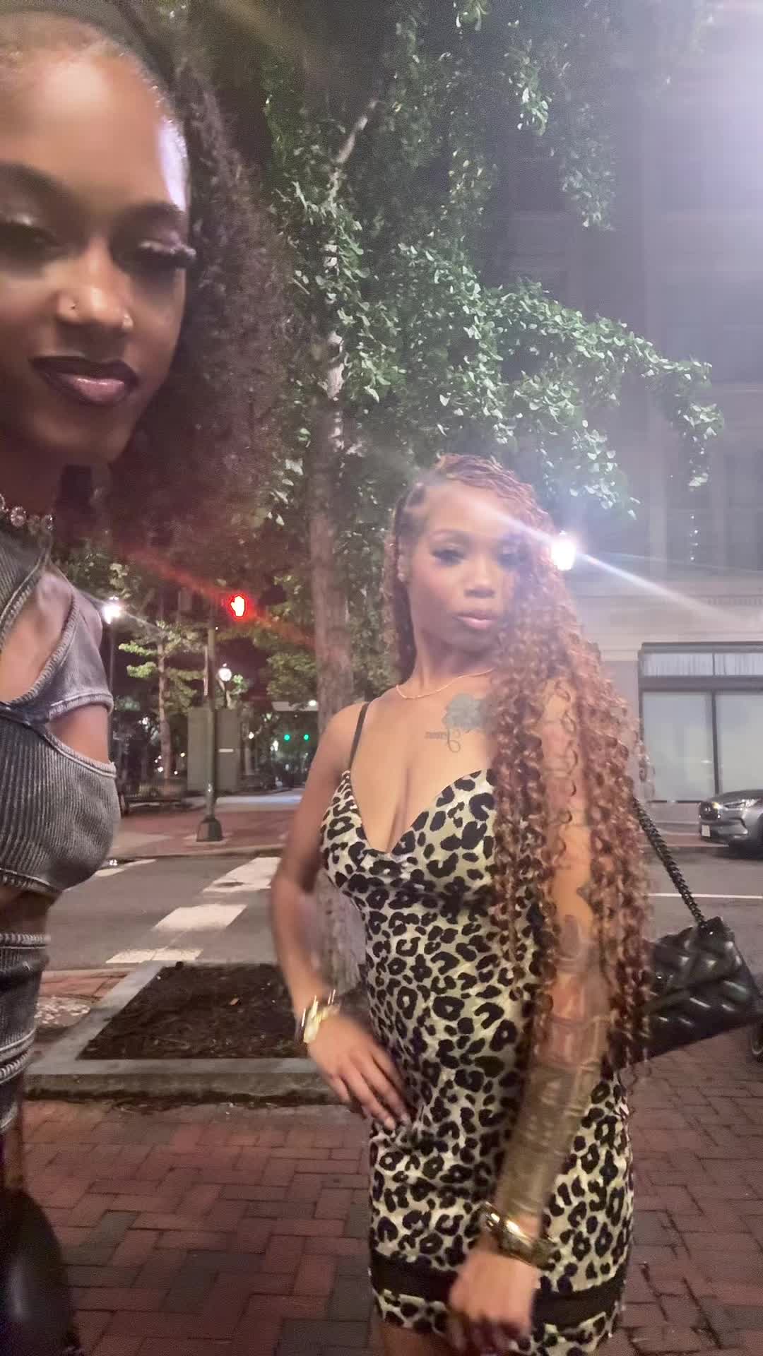 @ddsopaid