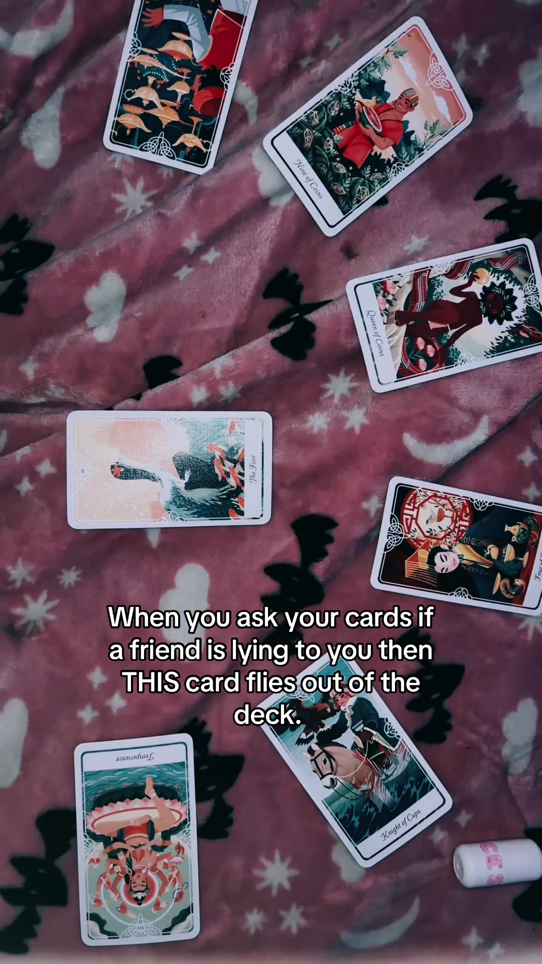 @⦻ ˚.⋆ ₗₑₗₑ ⋆.˚ ⦻