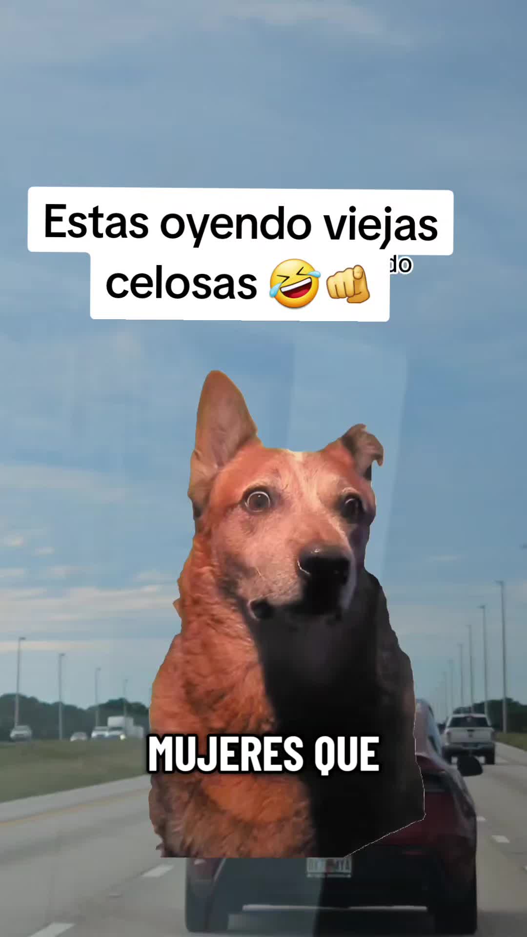 @Gabrielito 502