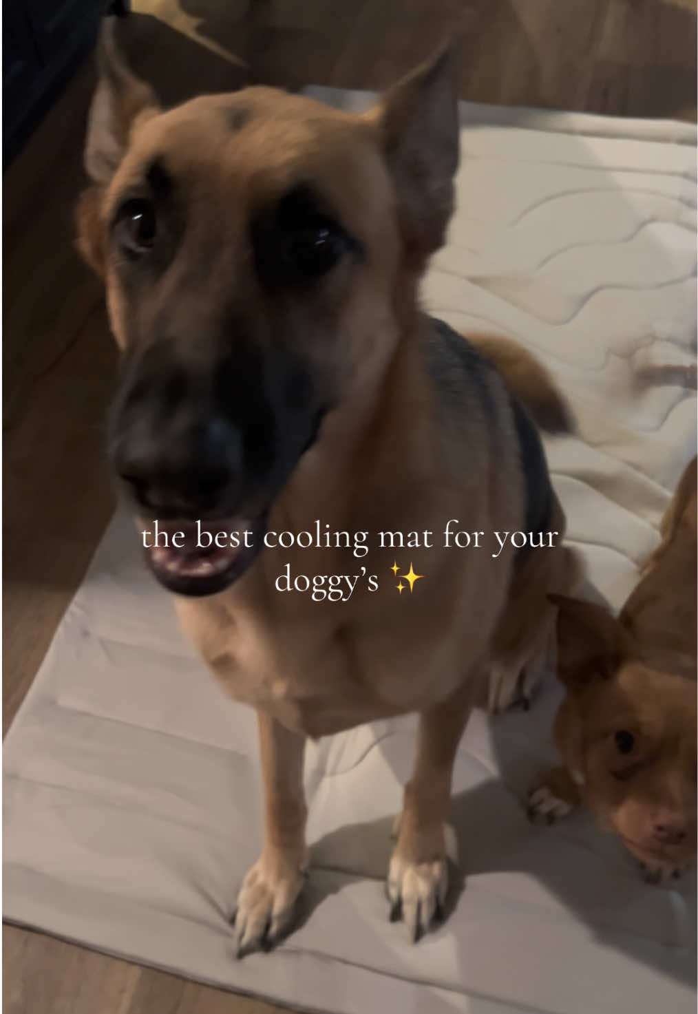 @𝙠𝙖𝙮𝙠𝙖𝙮<3