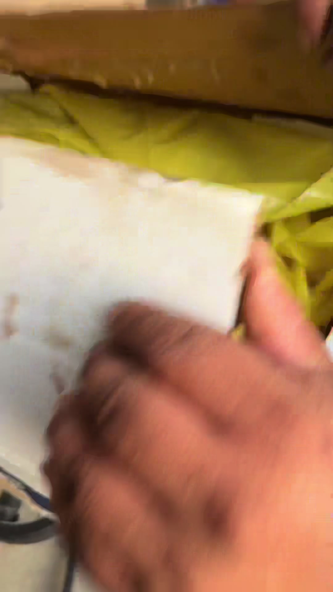 @guadaluperojas160