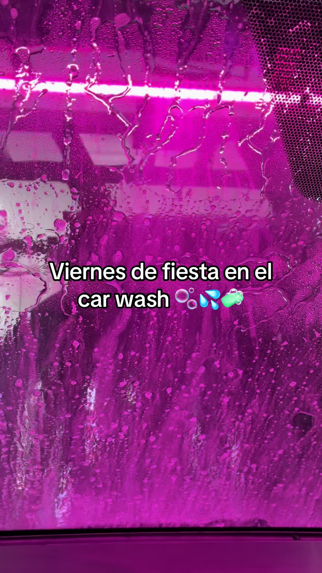 @flavialalunatina