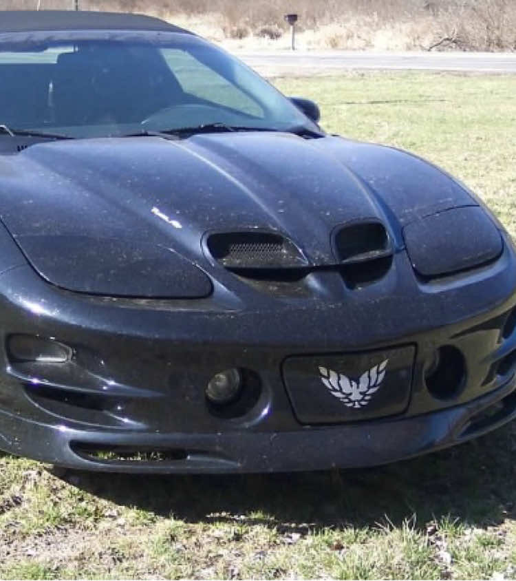 @Harris Pets & Vettes