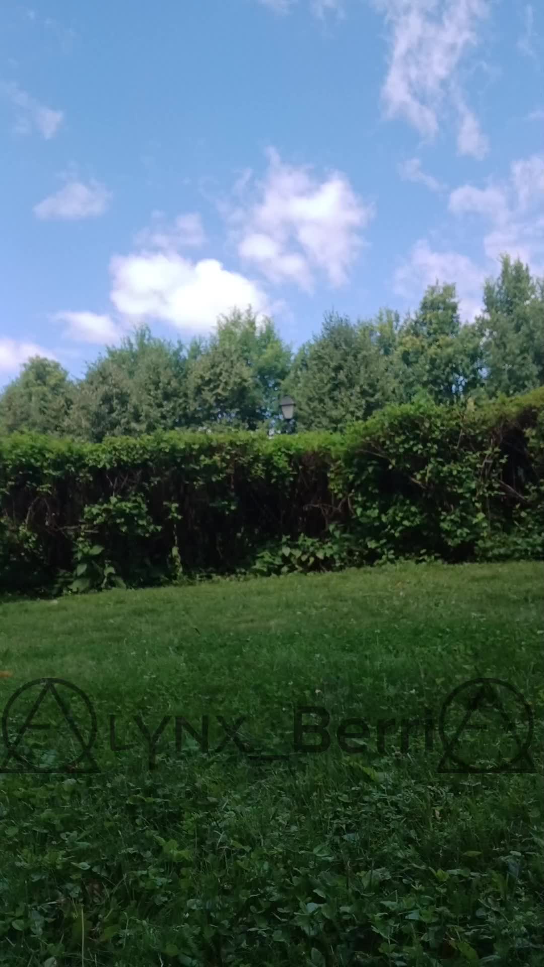 @╶⃝⃤ʟⲩⲛx_Berri╶⃝⃤