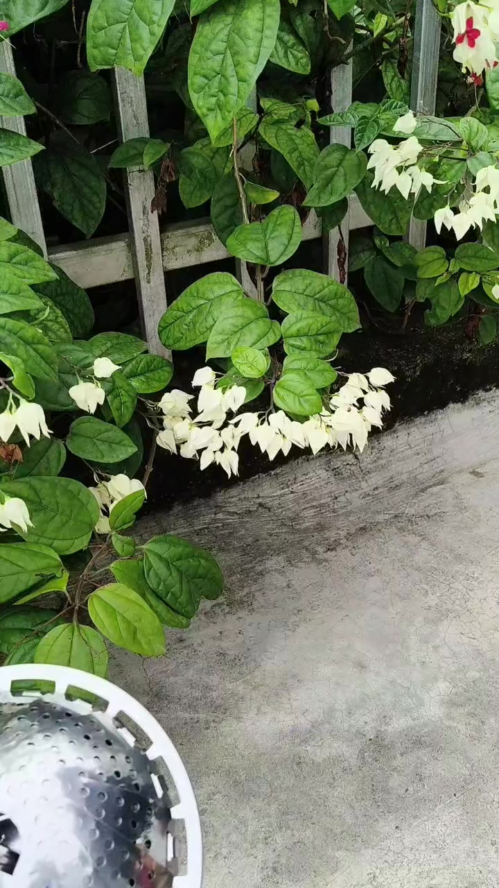 @Nguyễn Thiện Nhân