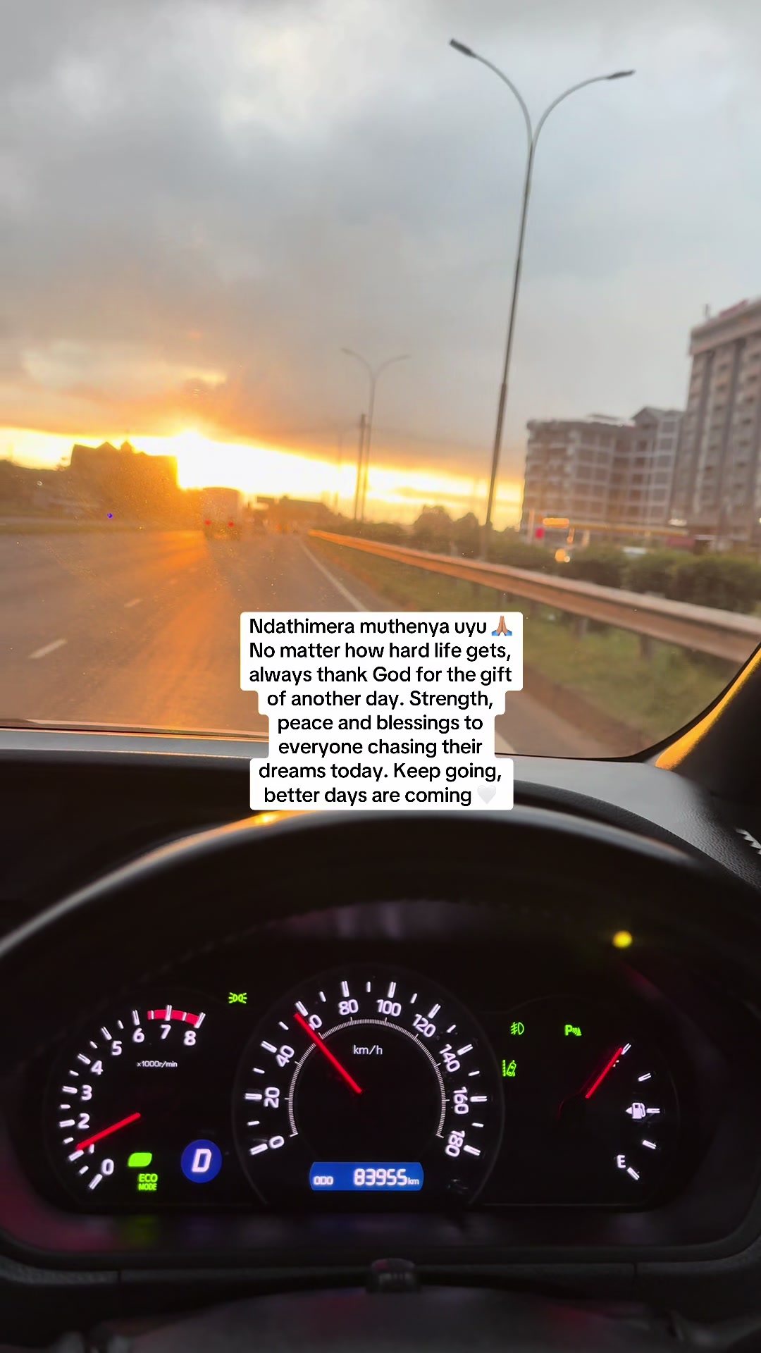 @martovazihub