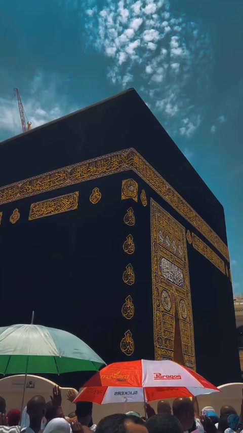 @Syed Ali Zain Asghar