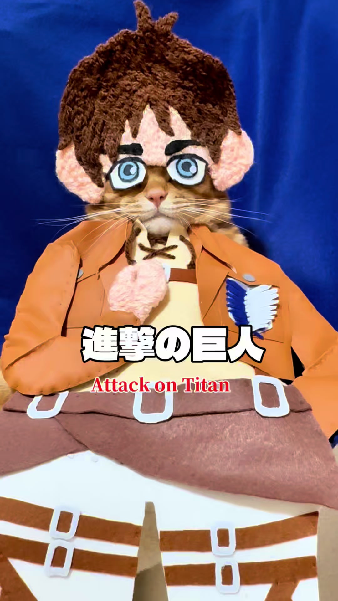@猫の神様