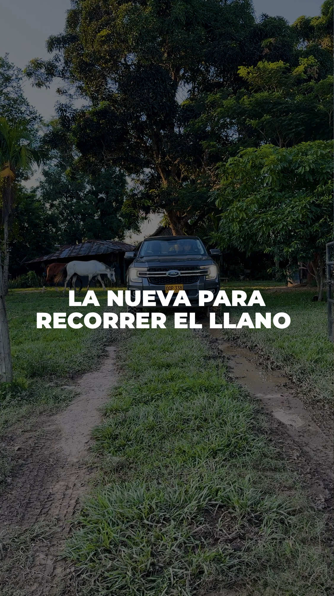 @Alexis Puerta