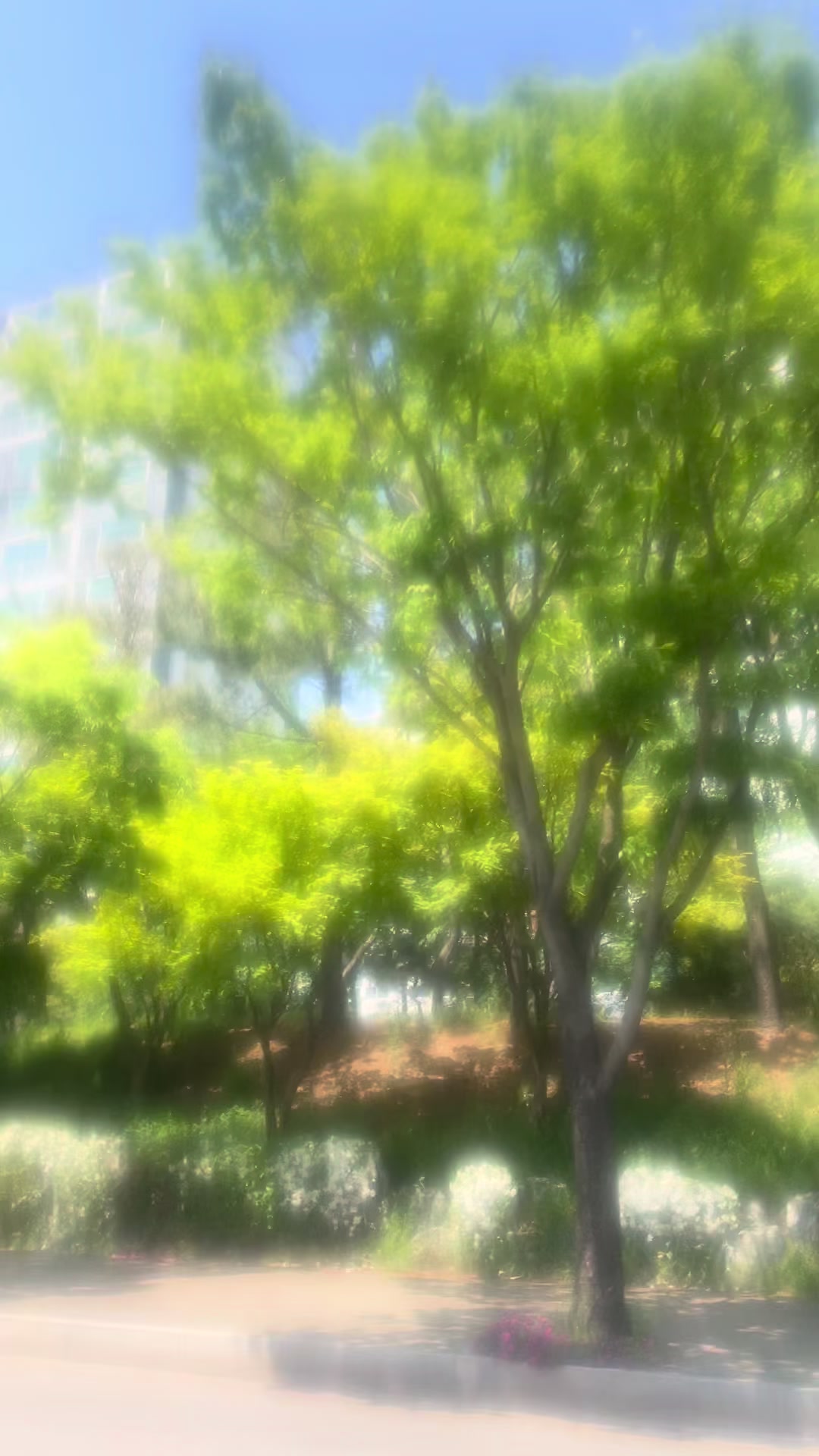 @냠냠ミ☆♡ઌ=͟͟͞   ꪔ͈͓🥗