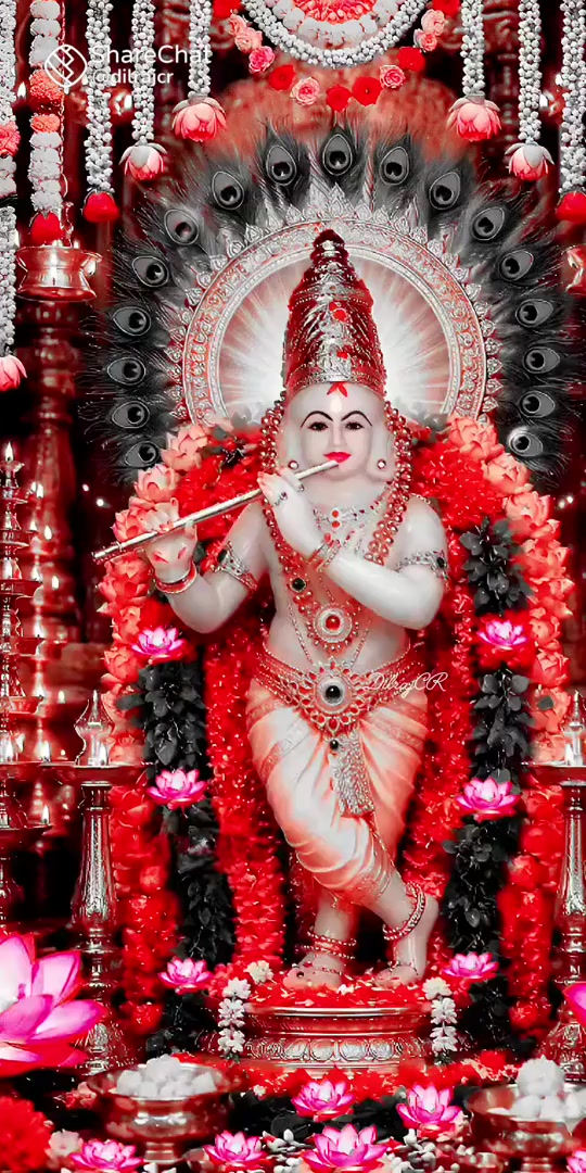 @Arathi s Arathi s