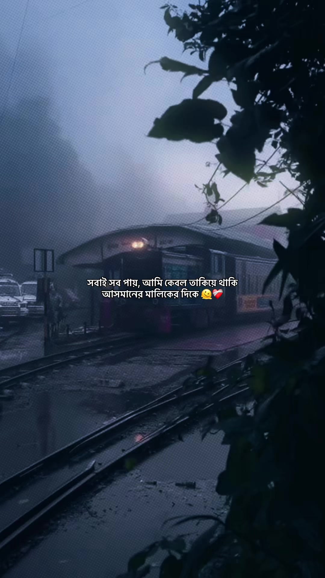 @Evu?đˇī¸