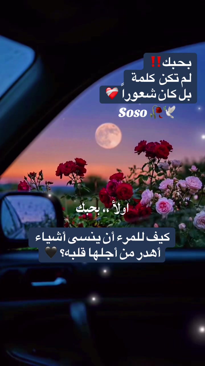 @༊෴✿ سوسو ✿〄࿐