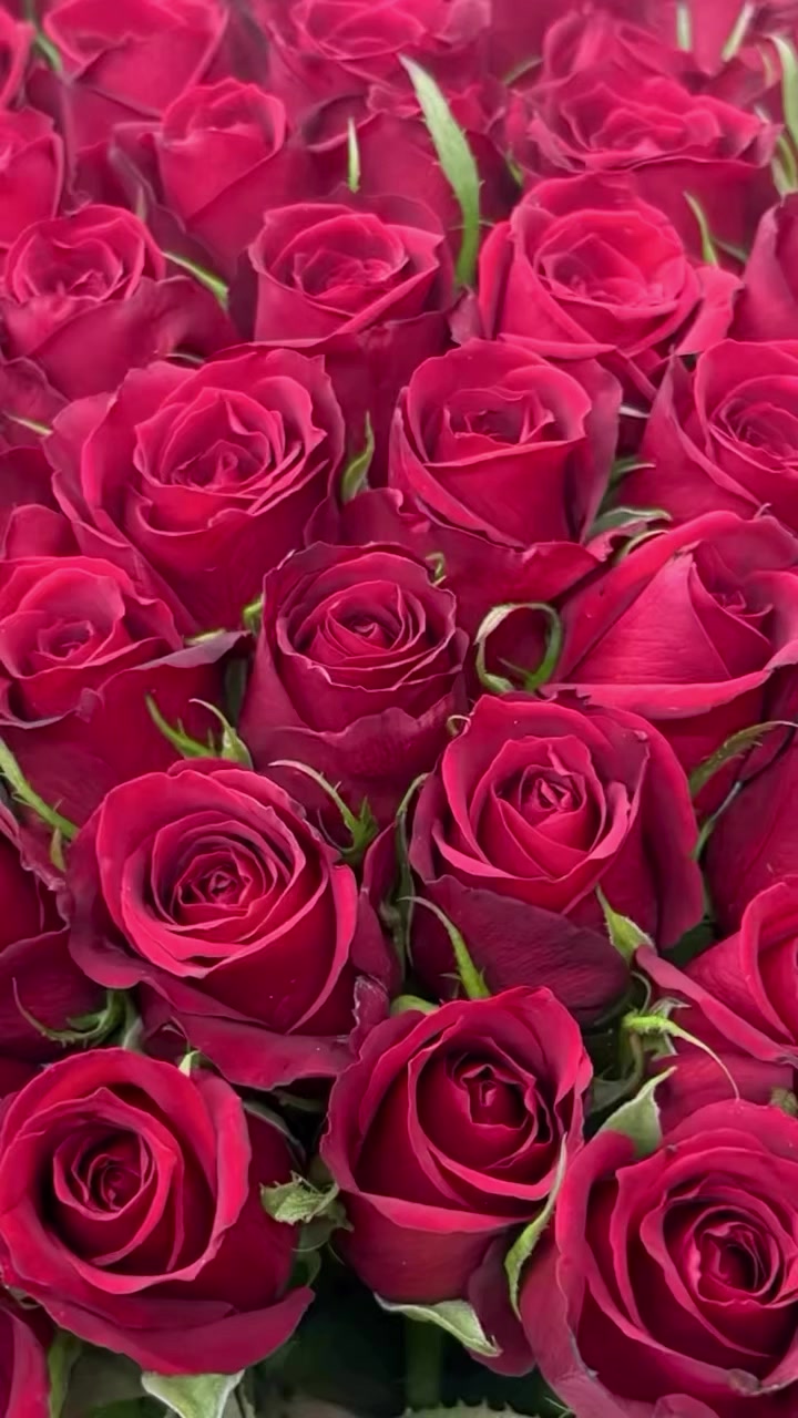 @lapislazuli19721112