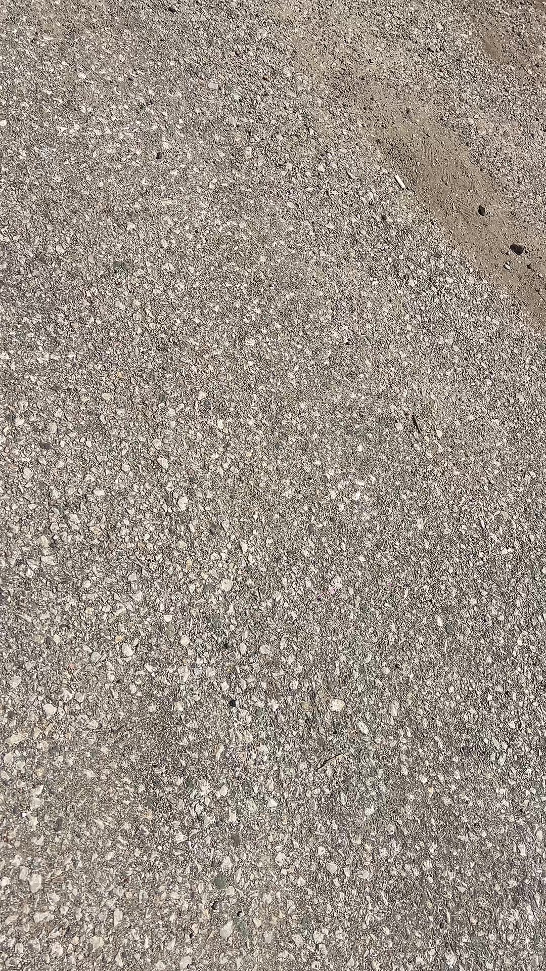 @Halo63