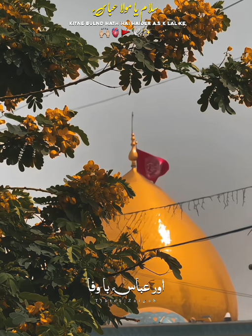 @𝐙𝐀𝐈ن𝐀𝐛ރ