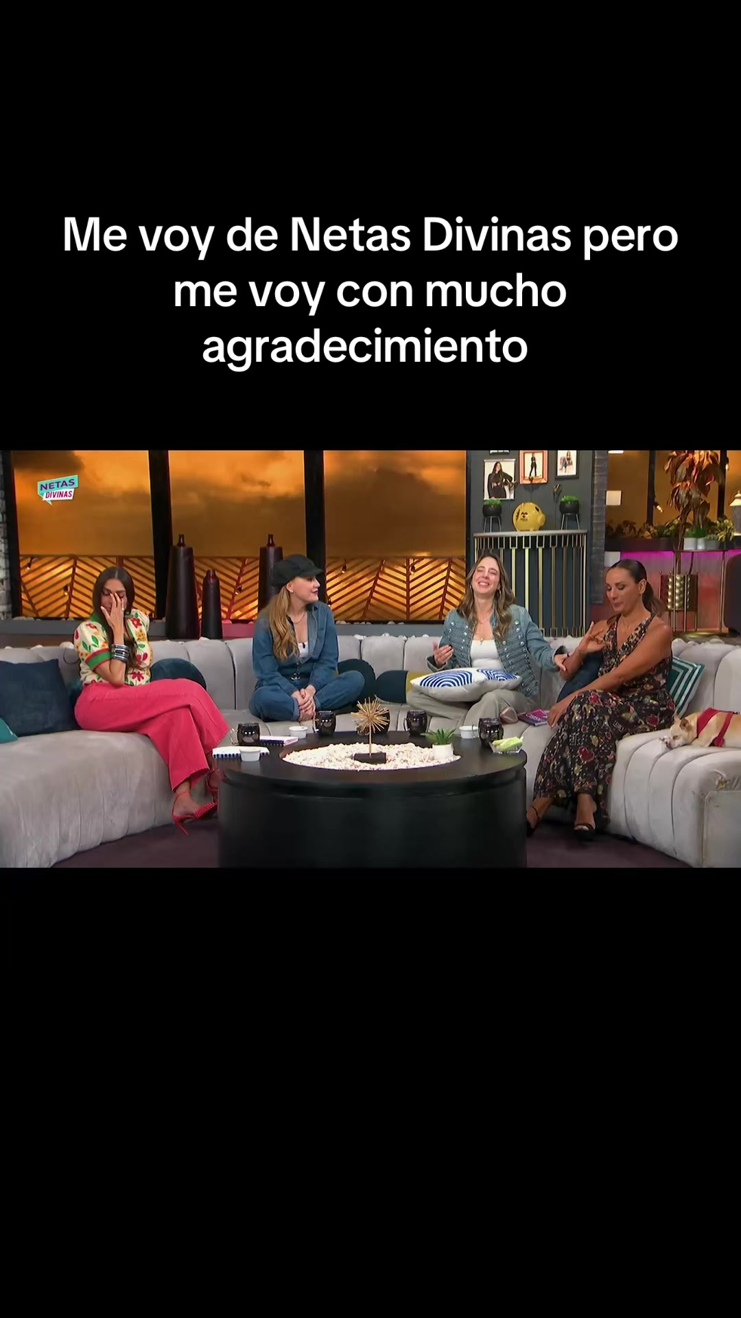 @sofia niño de rivera