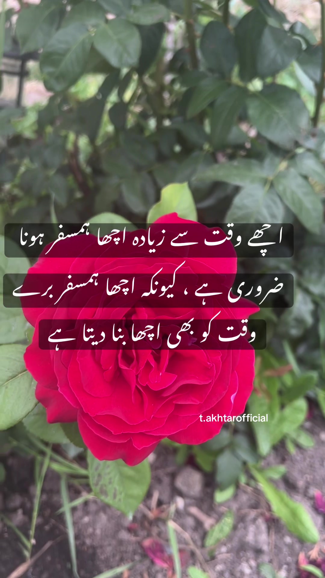 @T.Akhtar Official