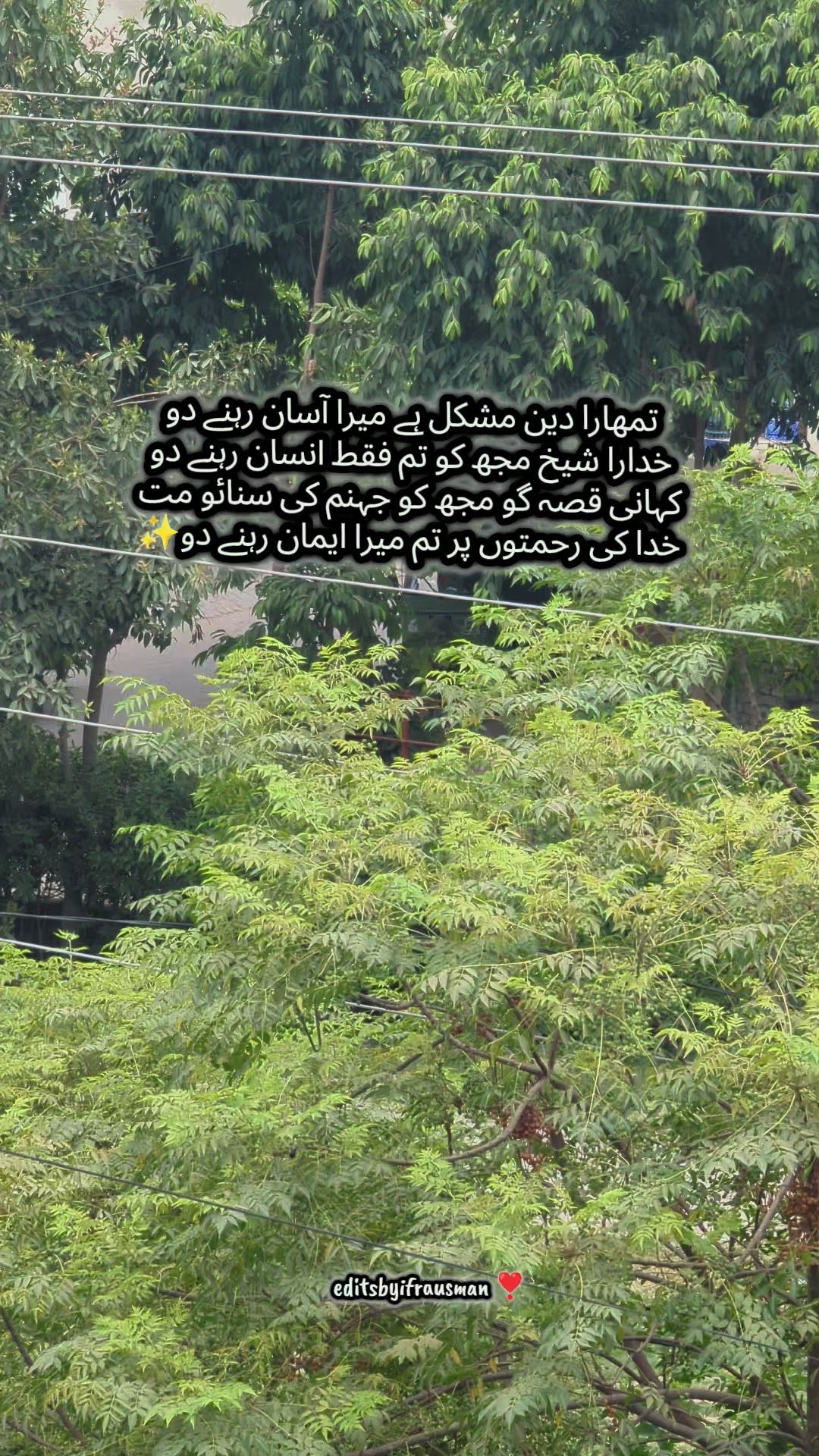 @Ifra Usman❣️
