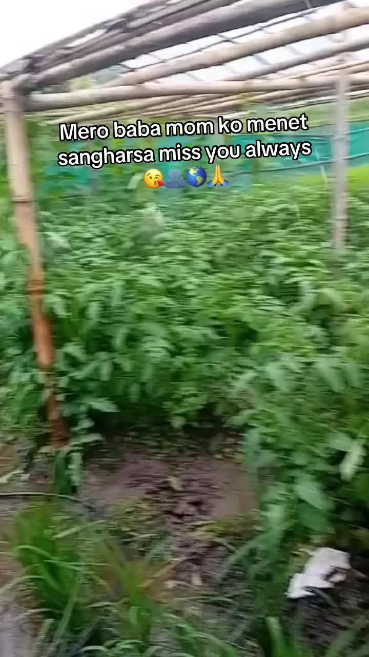 @अमृत गुरुङ💔🥀