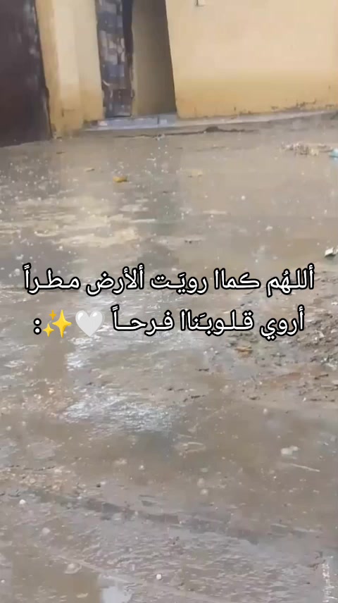 @زوزه اللاطفال