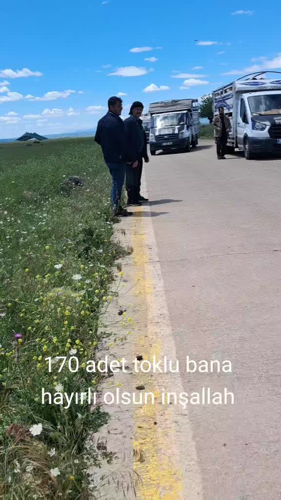 @mıhan oğlu beslicilik
