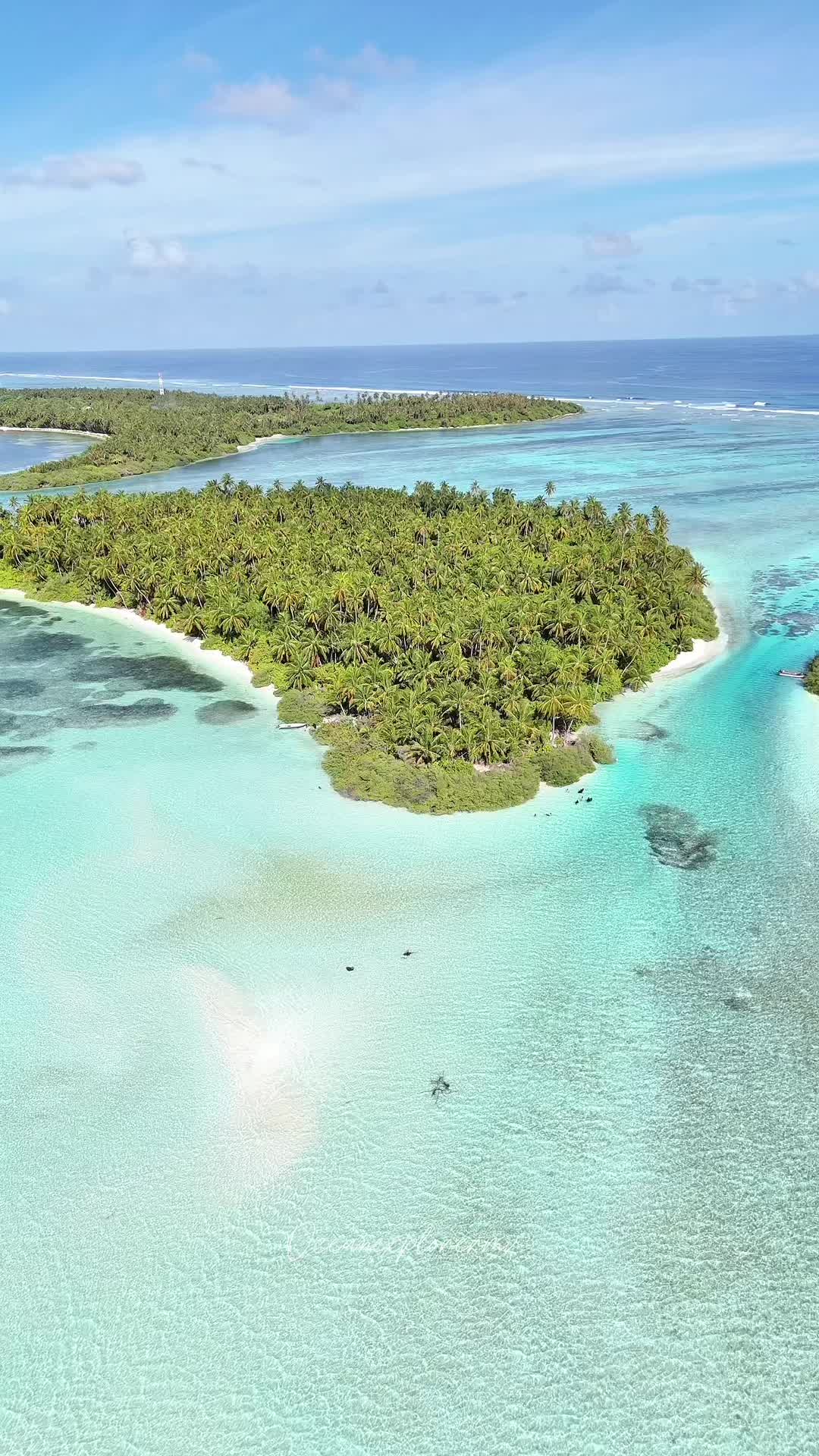 @Ocean|Explorer|Mv