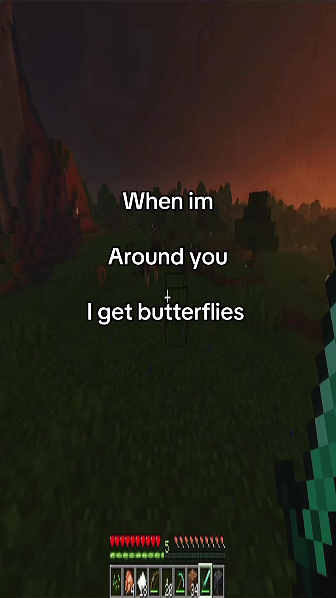 @Butterflies