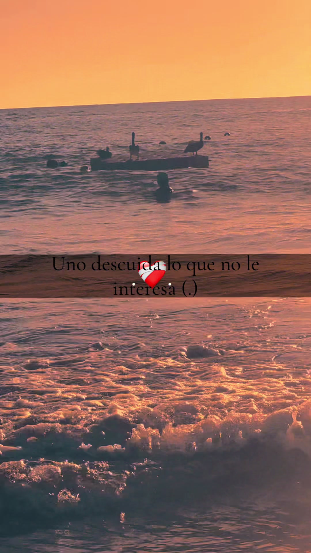 @Ale Miguel Luz