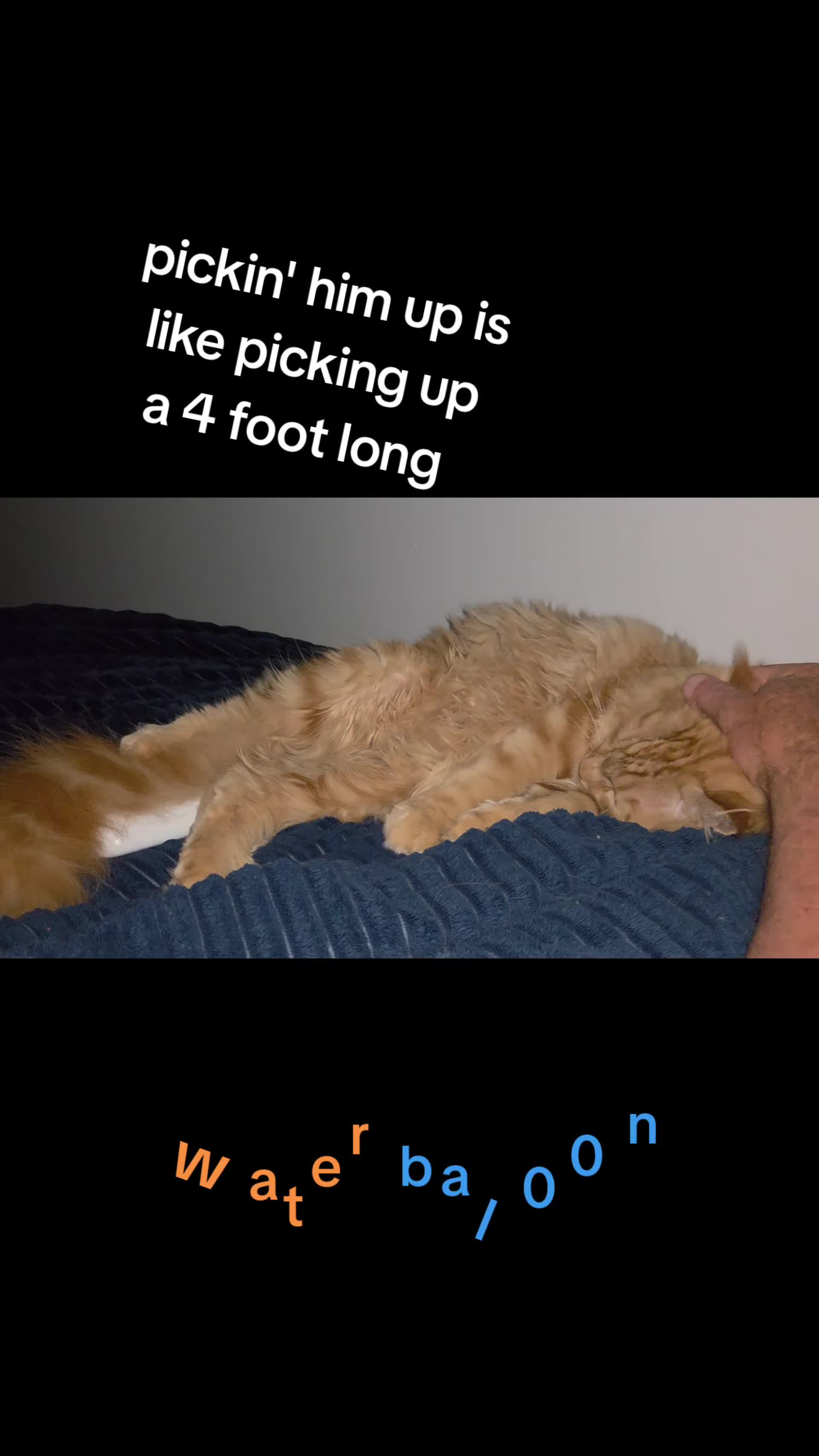 @uwslim