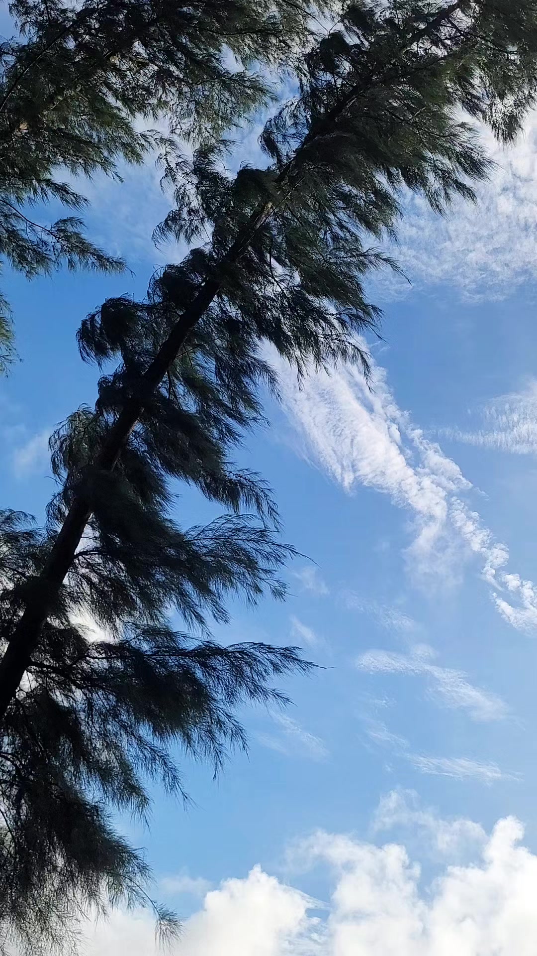 @Close to Nature. đ§đŠ