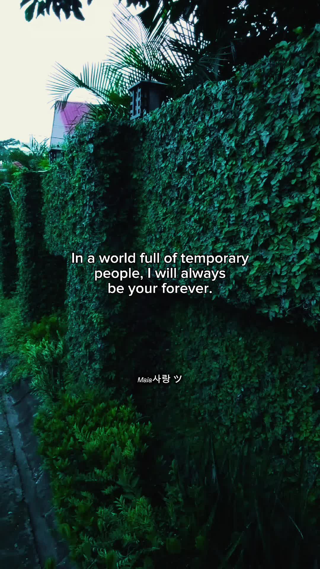@𝘔𝘢𝘪𝘢사랑 ツ