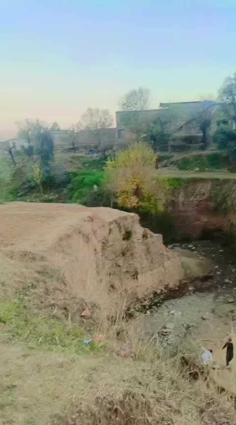 @shaidullah1129