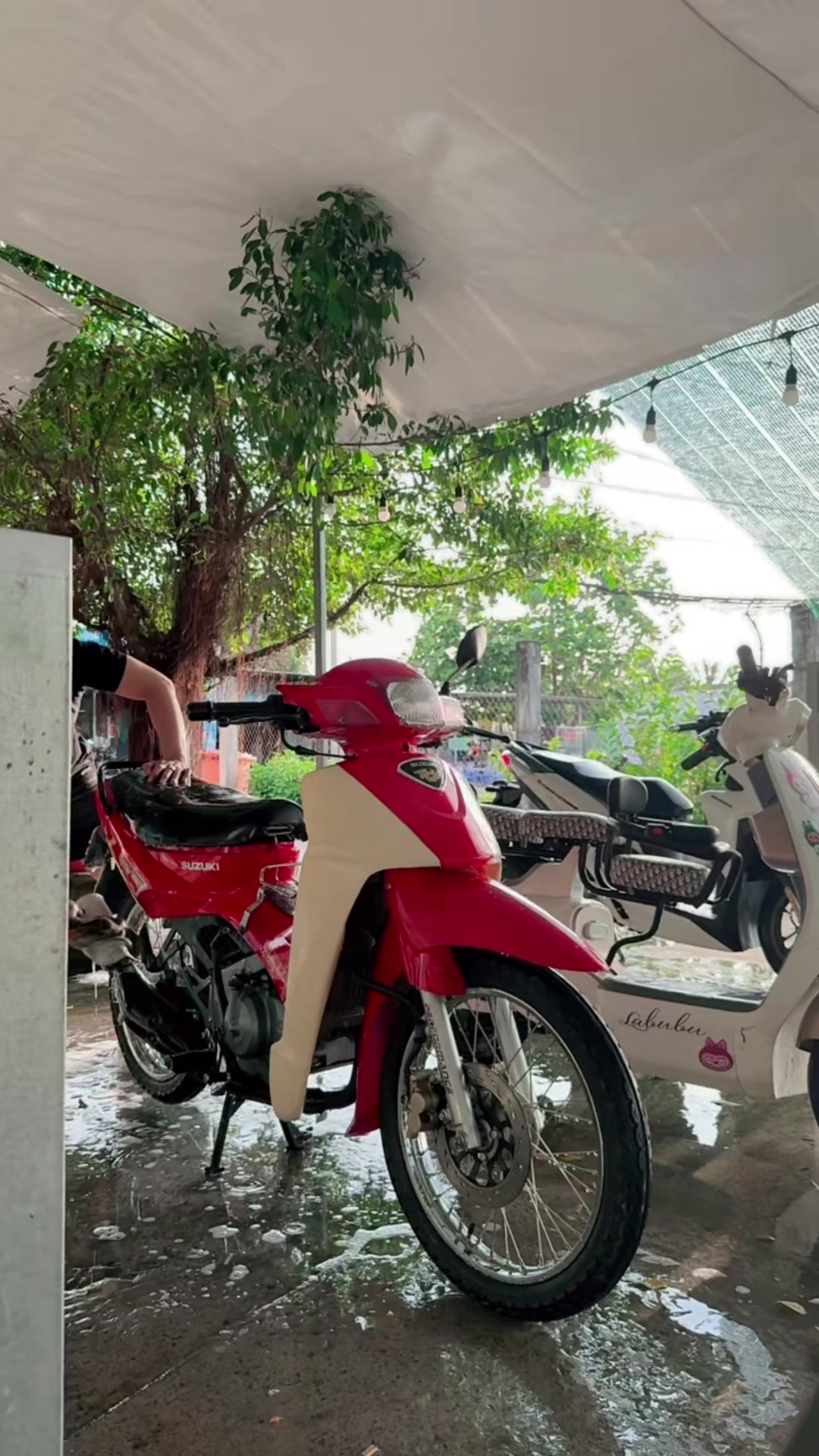 @Hoàng Nam 6789